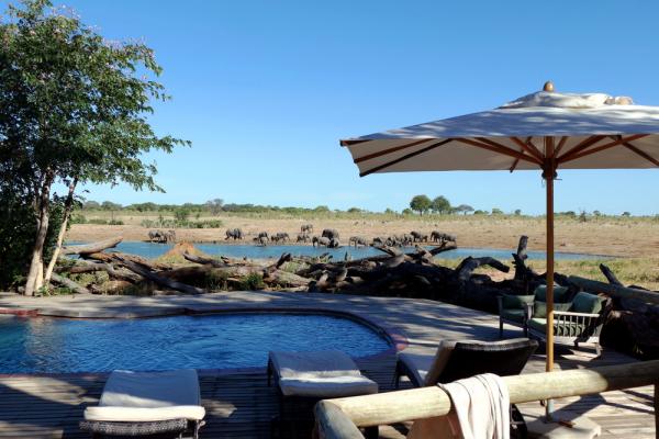 Am Pool im Verney's Camp, Hwange Nationalpark