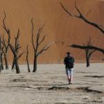 Nachmittagsspaziergang im Dead Vlei 