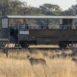 Der Elephant Express - Im Zug entlang des Nationalparks