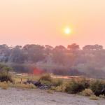 Morgenstimmung am Boteti River Camp - Selbstfahrerreise mit Kalahari Calling