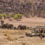 Safarifahrt auf den Gelände der Hobatere Lodge in Namibia 