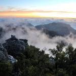 Auf dem Tafelberg in Kapstadt