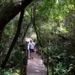 Wandern im Nationalpark Tsitsikamma