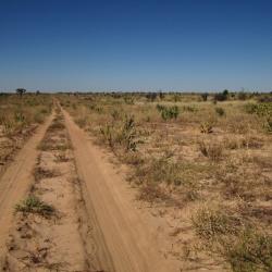 Unterwegs in der zentralen Kalahari