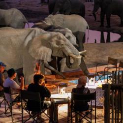 Nehimba - Dinner with Elephants