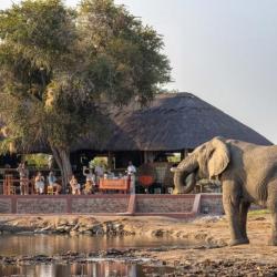 Nehimba Lodge, Hwange Nationalpark