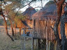 Tree Top Camp im Onguma Game Reserve