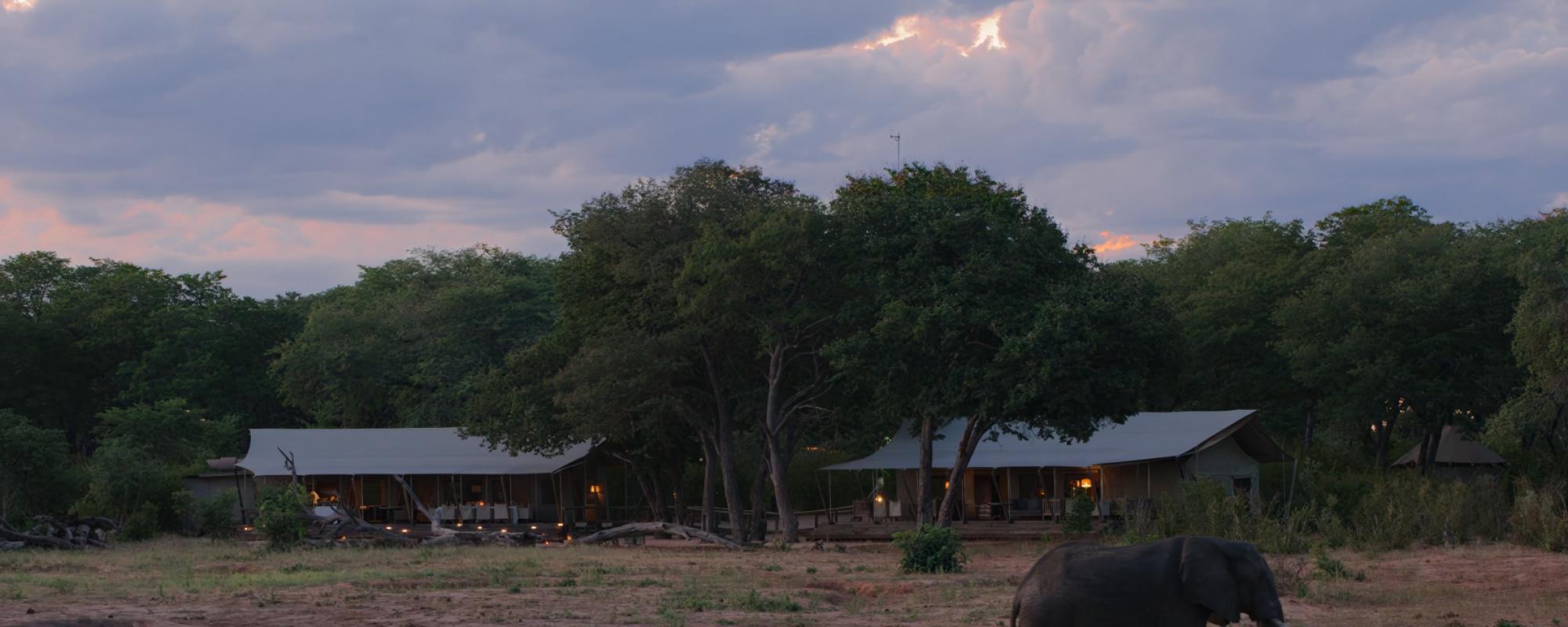 Elefant im Verney's Camp