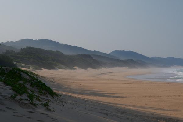 Der Strand Cape Vidal in den iSimangaliso Wetlands
