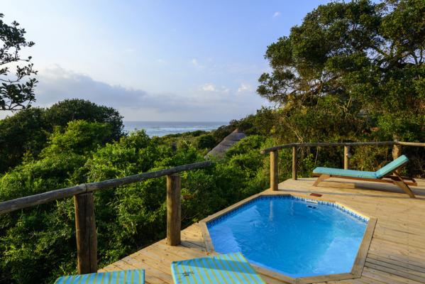 Thonga Beach Lodge - Integriert in die Natur