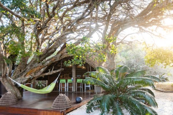 Kosi Forest Lodge Main Area