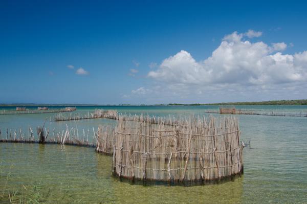 Kosi Lake - traditionelle Fischfallen der Tsonga