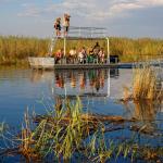 Bootssafaris in den Feuchtgebieten Namibias