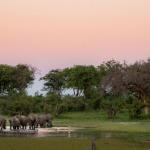 Die Mogothlo Concession in Botswana 