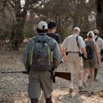 Der Mana Pools Nationalpark ist berühmt für die Fußsafaris 