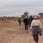 Auf Fußsafari im Krüger Nationalpark