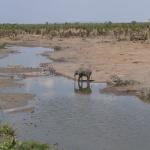 Hwange Aussichtsplatform - Lunchpause Chitubu