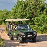 Auf Safarifahrt im Chobe National Park 
