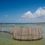 Kosi Lake - traditionelle Fischfallen der Tsonga