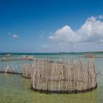 Kosi Lake - traditionelle Fischfallen der Tsonga