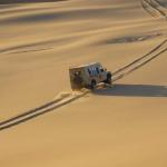 Unterwegs mit der "Little Five Tour in der Namib Wüste"