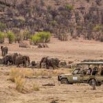 Safarifahrt auf den Gelände der Hobatere Lodge in Namibia 