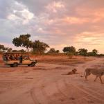 Auf Safarifahrt im Hwange Nationalpark