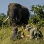Walking Safaris in Bomani