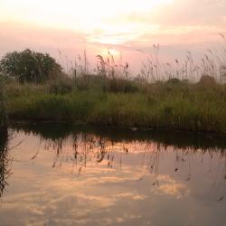 Unterwegs per Boot im Okavango Delta