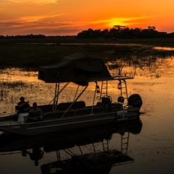 Sunset Bootstour auf dem Thamalakane Fluss