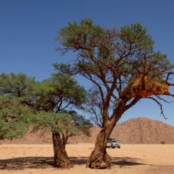 Campsite Kanaan Desert Retreat, Namibia 