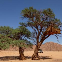 Campsite Kanaan Desert Retreat, Namibia 