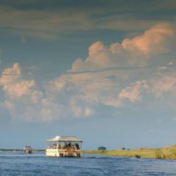 An der Chobe Riverfront in Kasane, Botswana
