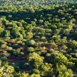 Mokolodi from "Worlds View"