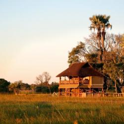 Gunn's Camp, Okavango Delta 