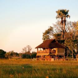 Gunn's Camp, Okavango Delta 