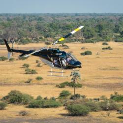 Scenic Flight über das Okavango Delta