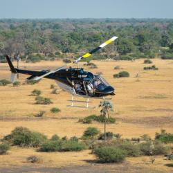 Scenic Flight über das Okavango Delta