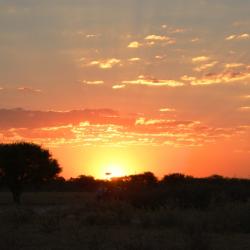 Kalahari Sonnenuntergang