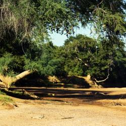 Limpopo Flussbett am Molema Camp - hier sind kleine Fußwanderungen erlaubt