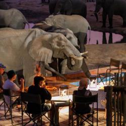 Nehimba - Dinner with Elephants