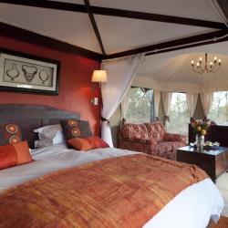Zimmerbeispiel Elephant Camp