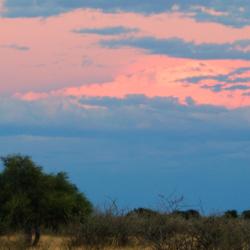 Sonnenuntergang in der Kalahari - Kalahari Calling UG 