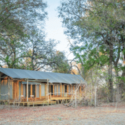 Kwara Zelt Suite, Okavango Delta 