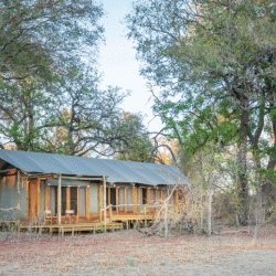 Kwara Zelt Suite, Okavango Delta 