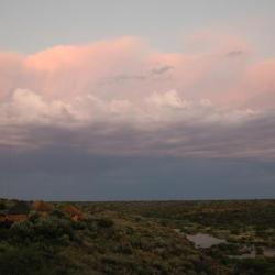 Lilydale Restcamp Mokala NP - Selbstfahrer Südafrika 