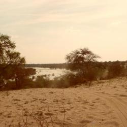 Blick auf den Boteti River (Kumaga)