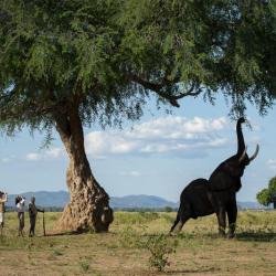 Mana Pools Nyamatusi Camp