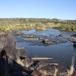 Mokala Nationalpark in Südafrika - Kalahari Calling UG 