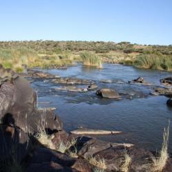 Mokala Nationalpark in Südafrika - Kalahari Calling UG 